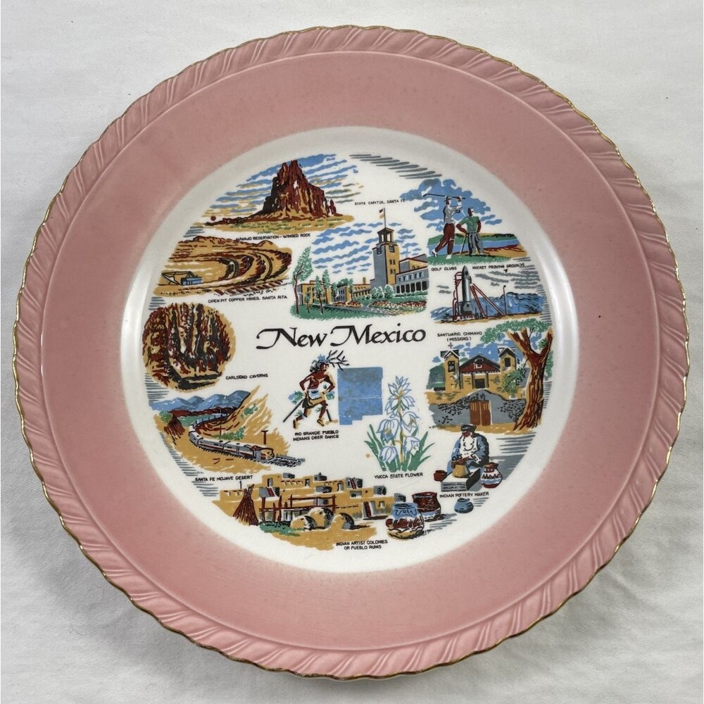 New Mexico Pink Rim Souvenir Plate 8.75" Pueblo Indian Mojave Desert MCM Vintage